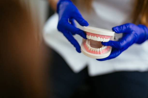 Best Dental Fillings (Composite and Amalgam)  in Easton, MD